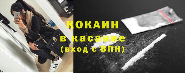 ГАЛЛЮЦИНОГЕННЫЕ ГРИБЫ Абаза