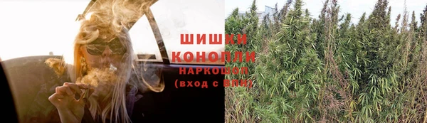 ПСИЛОЦИБИНОВЫЕ ГРИБЫ Абинск