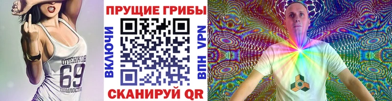 Галлюциногенные грибы прущие грибы  Ессентукская 